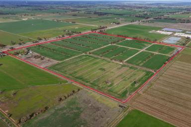 Cropping Auction - VIC - Kyabram - 3620 - Butlers 1  (Image 2)