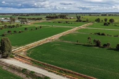 Cropping Auction - VIC - Kyabram - 3620 - Butlers 2  (Image 2)