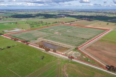 Cropping Auction - VIC - Kyabram - 3620 - Butlers 2  (Image 2)