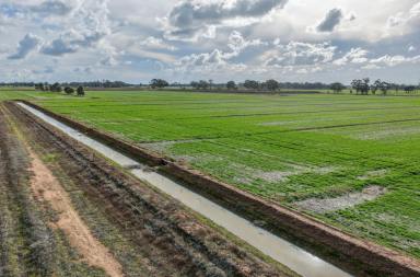 Cropping Auction - VIC - Kyabram - 3620 - Butlers 2  (Image 2)