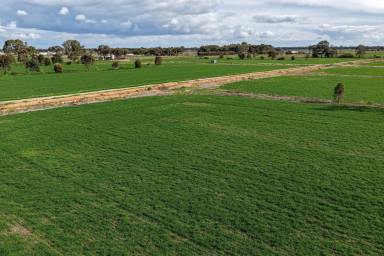 Cropping Auction - VIC - Kyabram - 3620 - Butlers 2  (Image 2)