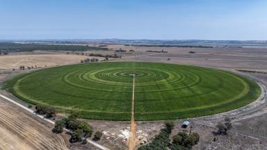 Cropping Auction - VIC - Girgarre - 3624 - Rendells  (Image 2)