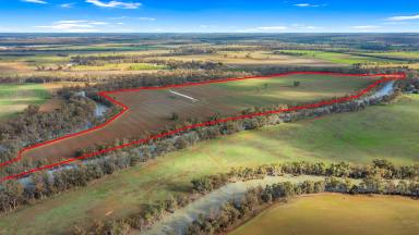 Cropping Auction - VIC - Picola - 3639 - Magnificent Property with Magnificent Aspect  (Image 2)