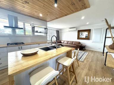 House For Lease - NSW - Inverell - 2360 - Tidy 3 Bedroom Home with Modern Touches  (Image 2)
