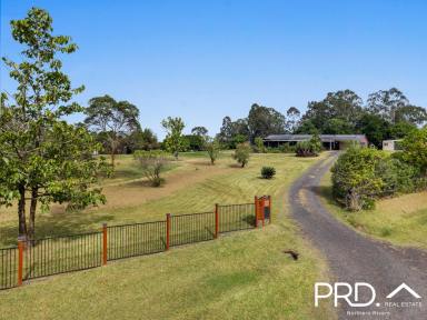 House For Sale - NSW - North Casino - 2470 - Entertainer's Delight! - Small Acreage Lifestyle  (Image 2)