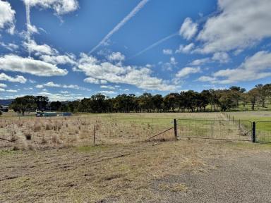 Residential Block For Sale - NSW - Young - 2594 - Great Value Lifestyle Block  (Image 2)