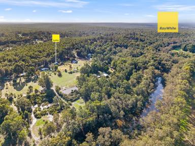 House For Sale - WA - Nannup - 6275 - Peaceful lifestyle property on the Blackwood River  (Image 2)