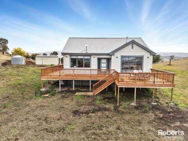 House Leased - TAS - Brighton - 7030 - Superb Living  (Image 2)