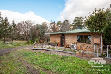 House For Sale - NSW - Glencoe - 2365 - Tranquil Village Lifestyle on 1.94 Acres  (Image 2)