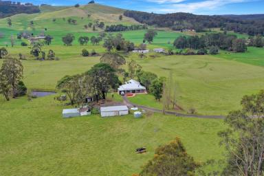 Farmlet For Sale - VIC - Won Wron - 3971 - SILVERTOP - YOUR PRIVATE VALLEY SANCTUARY  (Image 2)