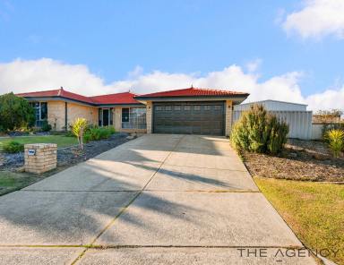 House For Sale - WA - Thornlie - 6108 - Stylish Family Entertainer in Peaceful Forrest Lakes Pocket  (Image 2)