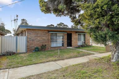 House For Sale - VIC - Kangaroo Flat - 3555 - Solid Investment or First Home Opportunity  (Image 2)