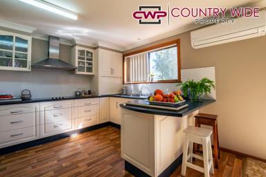 Acreage/Semi-rural For Sale - NSW - Glen Innes - 2370 - 3 Bedroom Home on 15 Acres  (Image 2)