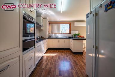Acreage/Semi-rural For Sale - NSW - Glen Innes - 2370 - 3 Bedroom Home on 15 Acres  (Image 2)