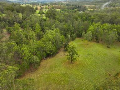 Lifestyle For Sale - NSW - Wherrol Flat - 2429 - "Lochinvar”  (Image 2)