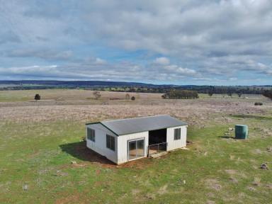 Residential Block For Sale - NSW - Young - 2594 - 41 Acres With Dwelling Entitlement  (Image 2)