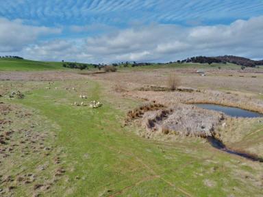 Residential Block For Sale - NSW - Young - 2594 - 41 Acres With Dwelling Entitlement  (Image 2)