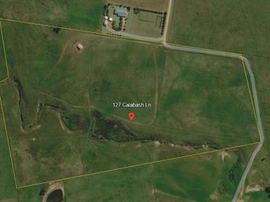 Residential Block For Sale - NSW - Young - 2594 - 41 Acres With Dwelling Entitlement  (Image 2)