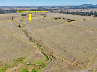 Residential Block For Sale - NSW - Young - 2594 - 41 Acres With Dwelling Entitlement  (Image 2)