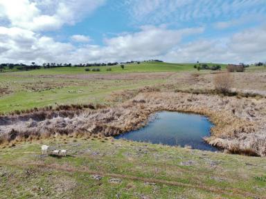 Residential Block For Sale - NSW - Young - 2594 - 41 Acres With Dwelling Entitlement  (Image 2)