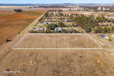 Residential Block For Sale - QLD - Oakey - 4401 - Acreage Opportunity on the Edge of Town – 2.02ha of Potential  (Image 2)
