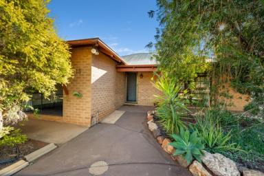 House For Sale - WA - Kalgoorlie - 6430 - Freshly Updated, Family-Ready & Full of Extras in a Prime Location  (Image 2)
