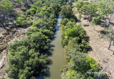 Mixed Farming For Sale - NSW - Ashford - 2361 - WILLINGO  (Image 2)