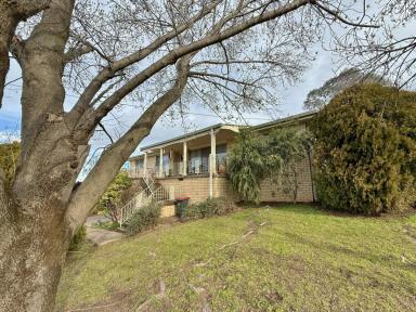 House Sold - NSW - Cootamundra - 2590 - Family Home with a Lovely Aspect  (Image 2)