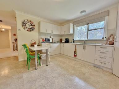 House For Sale - NSW - Cootamundra - 2590 - Family Home with a Lovely Aspect  (Image 2)