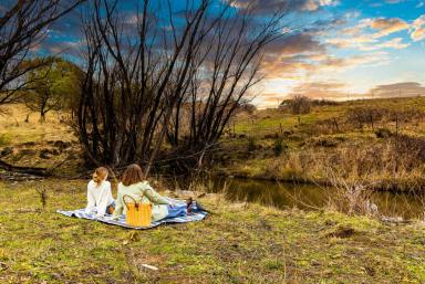 Acreage/Semi-rural Auction - NSW - Bywong - 2621 - Seriously for Sale | Buyers Guide: $1,950,000 | Renovated Rural Retreat Just 22 Minutes* to Canberra  (Image 2)