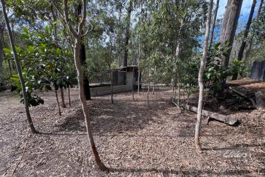 Residential Block For Sale - QLD - Bauple - 4650 - BACK ON THE MARKET! NATURE RETREAT WITH ENDLESS POTENTIAL  (Image 2)