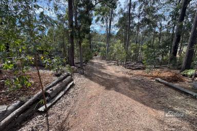 Residential Block For Sale - QLD - Bauple - 4650 - NATURE RETREAT WITH ENDLESS POTENTIAL  (Image 2)