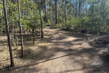 Residential Block For Sale - QLD - Bauple - 4650 - NATURE RETREAT WITH ENDLESS POTENTIAL  (Image 2)