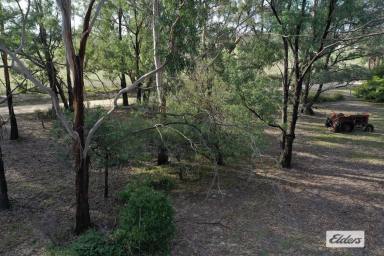 House For Sale - VIC - Woodside - 3874 - WOODLAND RETREAT  (Image 2)