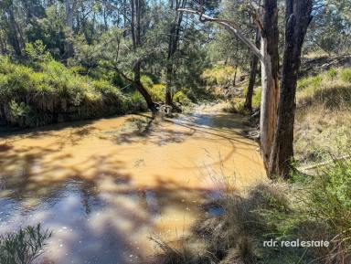 Mixed Farming For Sale - NSW - Inverell - 2360 - SEVEN OAKS  (Image 2)