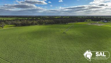 Mixed Farming For Sale - SA - Bordertown - 5268 - Glen Gowan - Pooginagoric / Bordertown  (Image 2)