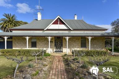 Mixed Farming For Sale - SA - Bordertown - 5268 - Glen Gowan - Pooginagoric / Bordertown  (Image 2)