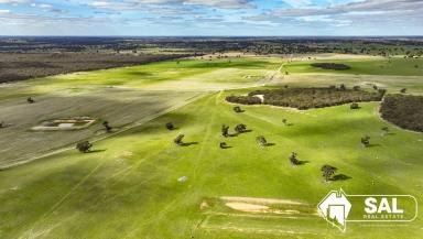 Mixed Farming For Sale - SA - Bordertown - 5268 - Clearview Park - Western Flat / Bordertown  (Image 2)