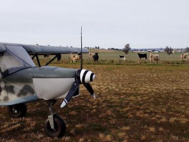 Lifestyle For Sale - NSW - Dunedoo - 2844 - Charming Rural Lifestyle Property with Space, Serenity & Spectacular Sunsets Await  (Image 2)