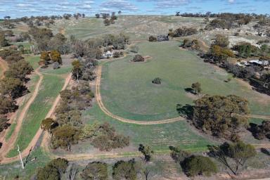 Other (Rural) For Sale - WA - York - 6302 - A Rare Rural Retreat with Stunning Views and Natural Heritage  (Image 2)
