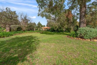 House For Sale - WA - Manjimup - 6258 - Spacious Country home  (Image 2)