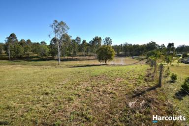 Residential Block For Sale - QLD - Apple Tree Creek - 4660 - Half Acre plus DAM  (Image 2)