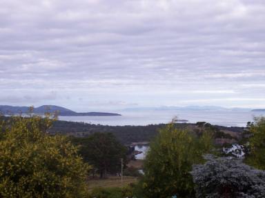 House Leased - TAS - Carlton River - 7173 - Charming Vineyard Retreat with Stunning Water Views  (Image 2)