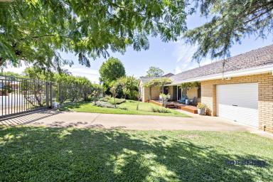 House For Lease - NSW - Dubbo - 2830 - Charming Home Just Minutes from the River and CBD  (Image 2)