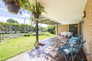House For Lease - NSW - Dubbo - 2830 - Charming Home Just Minutes from the River and CBD  (Image 2)