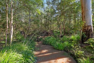 Other (Rural) For Sale - NSW - Booral - 2425 - Rural Lifestyle Opportunity – 98.5 Acres with Creek Frontage  (Image 2)