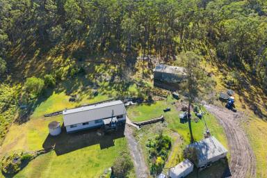 Other (Rural) For Sale - NSW - Booral - 2425 - Rural Lifestyle Opportunity – 98.5 Acres with Creek Frontage  (Image 2)