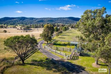 Acreage/Semi-rural For Sale - NSW - Frogs Hollow - 2550 - Outstanding Rural Property in a Sought-After Location  (Image 2)