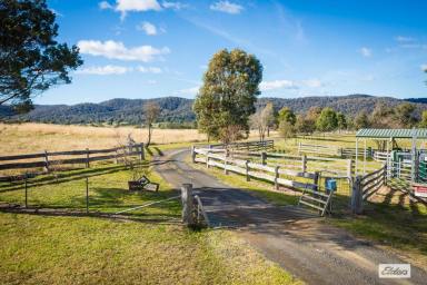 Acreage/Semi-rural For Sale - NSW - Frogs Hollow - 2550 - Outstanding Rural Property in a Sought-After Location  (Image 2)