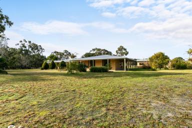 Farmlet For Sale - VIC - Woodside - 3874 - "WANDEREND" LIFESTYLE PROPERTY  (Image 2)